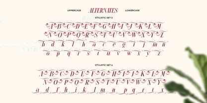 Glow More Font Poster 9