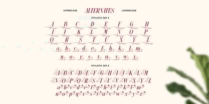 Glow More Font Poster 11