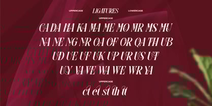 Glow More Font Poster 14