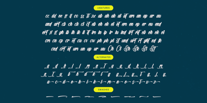 Chunky Slandis Font Poster 15
