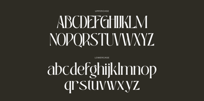 Bageki Luxury Font Poster 5