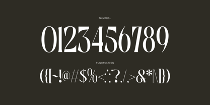 Bageki Luxury Font Poster 7
