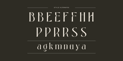 Bageki Luxury Font Poster 9