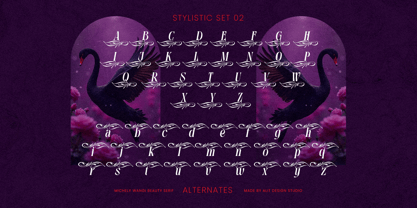 Michely Wangi Font Poster 7