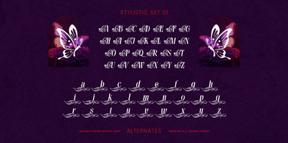 Michely Wangi Font Poster 6