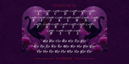 Michely Wangi Font Poster 8