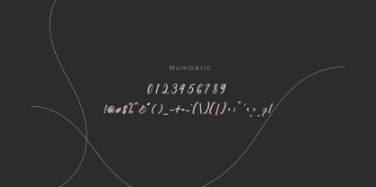 Rosewood Script Font Poster 5