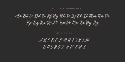 Rosewood Script Font Poster 4