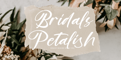 Blakely Quincy Font Poster 6