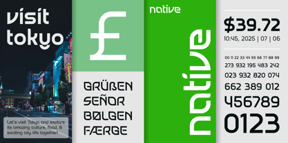 Nativera Font Poster 13