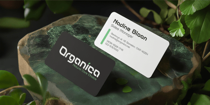 Nativera Font Poster 2