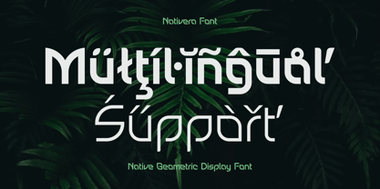 Nativera Font Poster 9