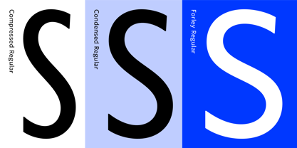 Forley Display Font Poster 3