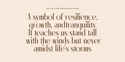 Lagona Font Poster 4