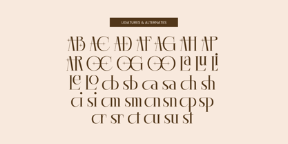 Lagona Font Poster 14