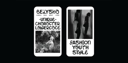 Fredals Experimental Display Font Poster 8