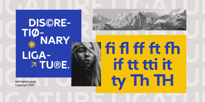 Nothern Sans Font Poster 10