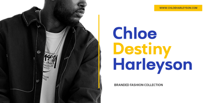 Nothern Sans Font Poster 6