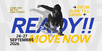 Nothern Sans Font Poster 2