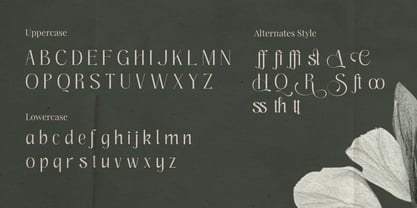 Hafinia Font Poster 2