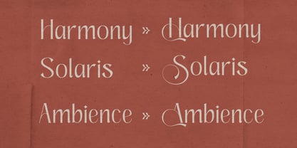 Hafinia Font Poster 4