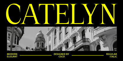 Catelyn Font Poster 1