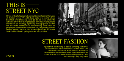 Catelyn Font Poster 3