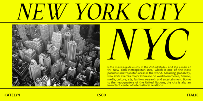 Catelyn Font Poster 2