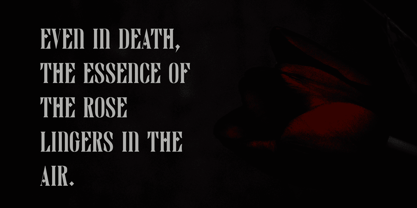 Darvine Font Poster 4