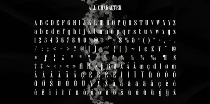 Darvine Font Poster 6