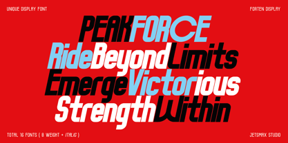 Forten Display Font Poster 10