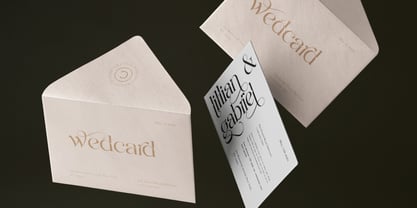 Veltania Display Pro Font Poster 12