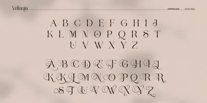 Veltania Display Pro Font Poster 3