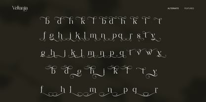 Veltania Display Pro Font Poster 6