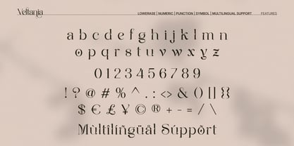 Veltania Display Pro Font Poster 4