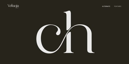 Veltania Display Pro Font Poster 5