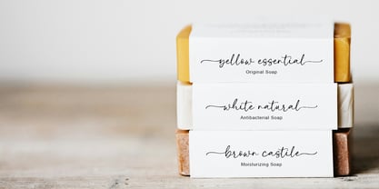 Holla Mine Font Poster 7