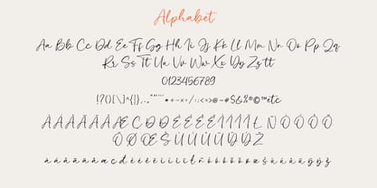 Holla Mine Font Poster 11