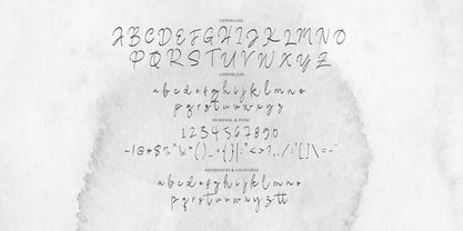 Lerased Signature Font Poster 9