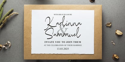 Lerased Signature Font Poster 8