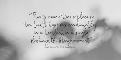 Lerased Signature Font Poster 3