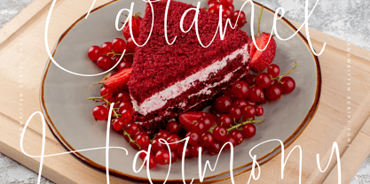 Hanters Maroon Font Poster 7