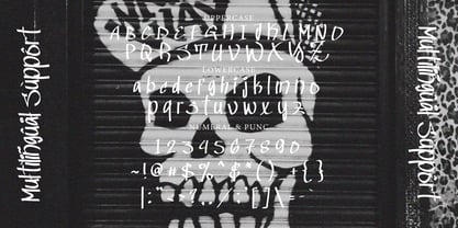 Radies Graffiti Font Poster 7