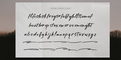 Yelgani Font Poster 12