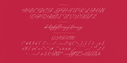 Beladin Skintics Font Poster 7