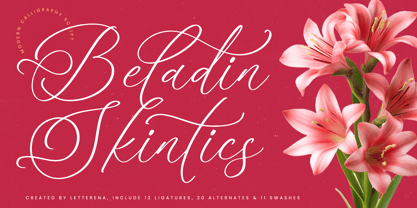 Beladin Skintics Font Poster 1