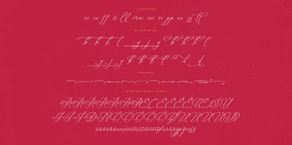 Beladin Skintics Font Poster 8