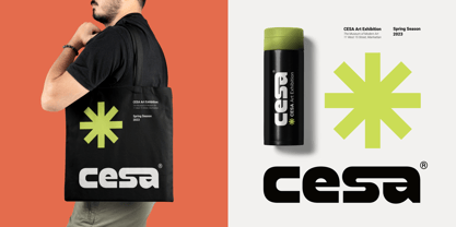 Hello Botuna Font Poster 4