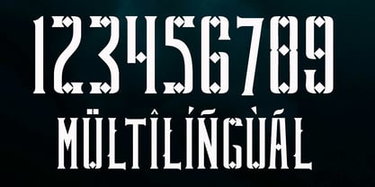 Budonger Font Poster 6