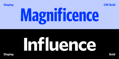 Forley Font Poster 9